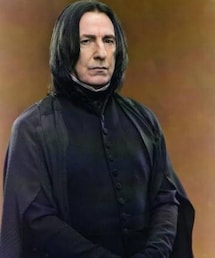 スネイプ先生 | その他