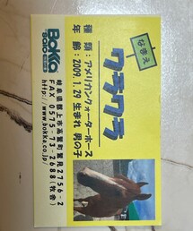 名刺🐴📇 | その他