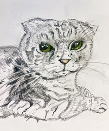 くーたろさん家のぬこ様😺 | くーすたぐらむより あざとい顔オブザイヤー2023ノミネート作品！　鉛筆と色鉛筆、修正役で描きました🎨(ポスター/アート)