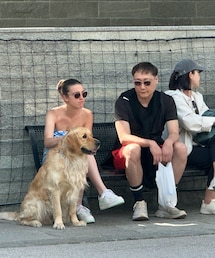 めっちゃ犬ちゃん好きです🙆‍♀️ | その他