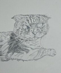 当初おかしな事になって似てね〜🥲ここから修正開始！ | その他