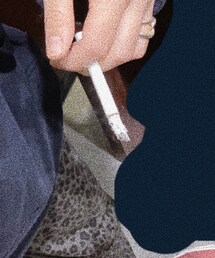 アークロイヤル　パラダイスティー | その他