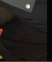 POLO RALPH LAUREN | 古着(スラックス)