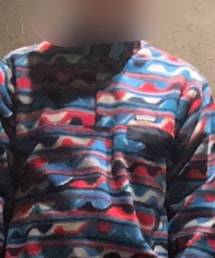 patagonia | トップス