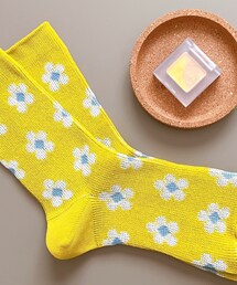 靴下屋 | ソックス/靴下