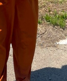 grapefluit 'smoon | その他パンツ