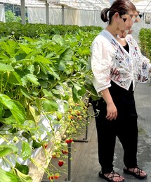 UNIQLO | スウェットパンツ