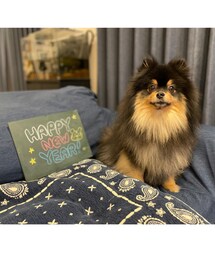 良いお年を🎍 | その他