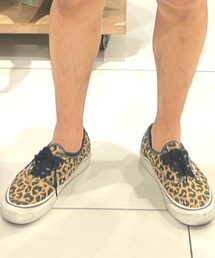 VANS | スニーカー