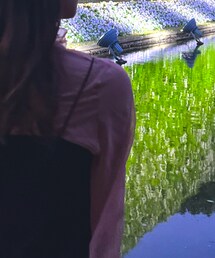 mideal | トップス