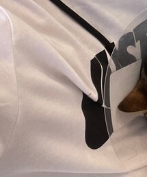 NIKE | Tシャツ/カットソー