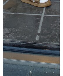 French Bull | ソックス/靴下