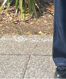 無印良品 | シャツ/ブラウス