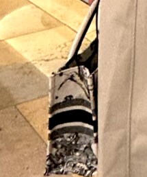 Christian Dior | トートバッグ