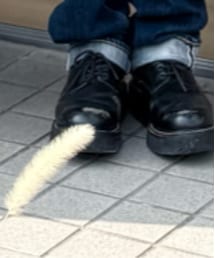 foot the coacher | ローファー