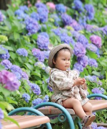 ꕤ*.ﾟ | その他