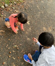 どんぐり拾い | その他