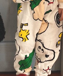 Birthday | セットアップ
