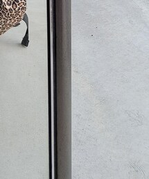 THRASHER | バックパック/リュック