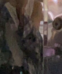 VINTAGE | ジャケット/アウター