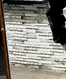 ROTAR | Tシャツ/カットソー