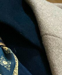 tricot COMME des GARCONS | シャツ/ブラウス