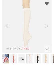 靴下屋 | 30デニールプレミアムハイソックス(ソックス/靴下)