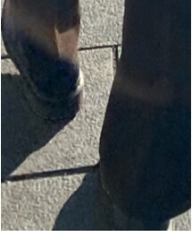Dr. Martens | ドレスシューズ
