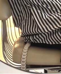 il micio | ベルト