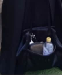 ELLE | トートバッグ