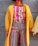 TAKARAの「トップス(シャツ/ブラウス)」