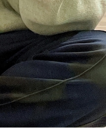 Needles | チノパンツ