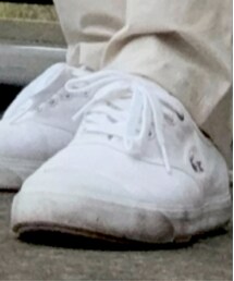 LACOSTE | スニーカー
