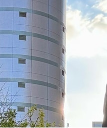 AZUL | スウェット