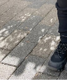 ZARA | スニーカー