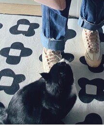 CAT | その他雑貨