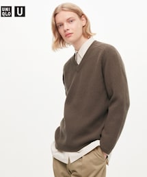 UNIQLO | プレミアムラムリブVネックセーター¥3,990を2022/10/21に¥2,990で購入(ニット/セーター)