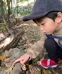 キノコ見つけた | その他
