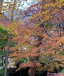 GU | ニット/セーター