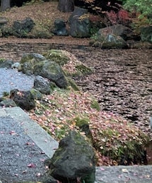 GU | デニムパンツ