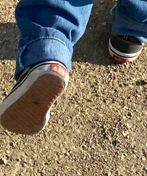 VANS | スニーカー