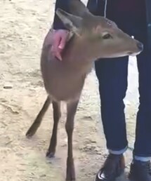 0000Lady's | その他