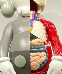 KAWS | その他