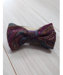 40ｃｔ＆525 | ペイズリープリント蝶タイ(蝶ネクタイ)