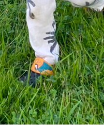 西松屋 | サンダル