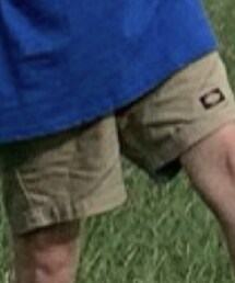 Dickies | カーゴパンツ