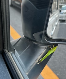 carアクセサリー | その他雑貨