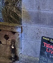 Napapijri | ジャケット/アウター