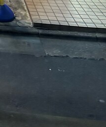 adidas | スニーカー