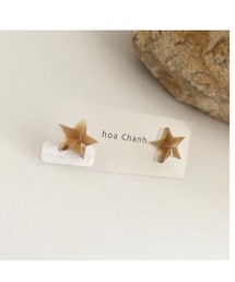hoachan | ピアス（両耳用）